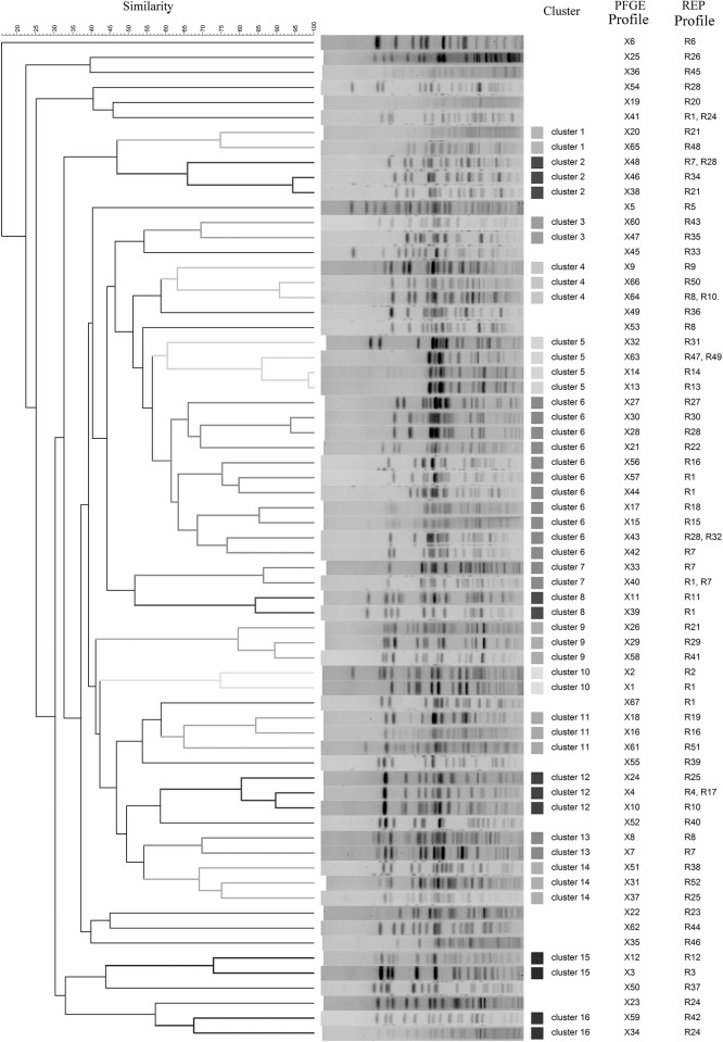 Fig 4