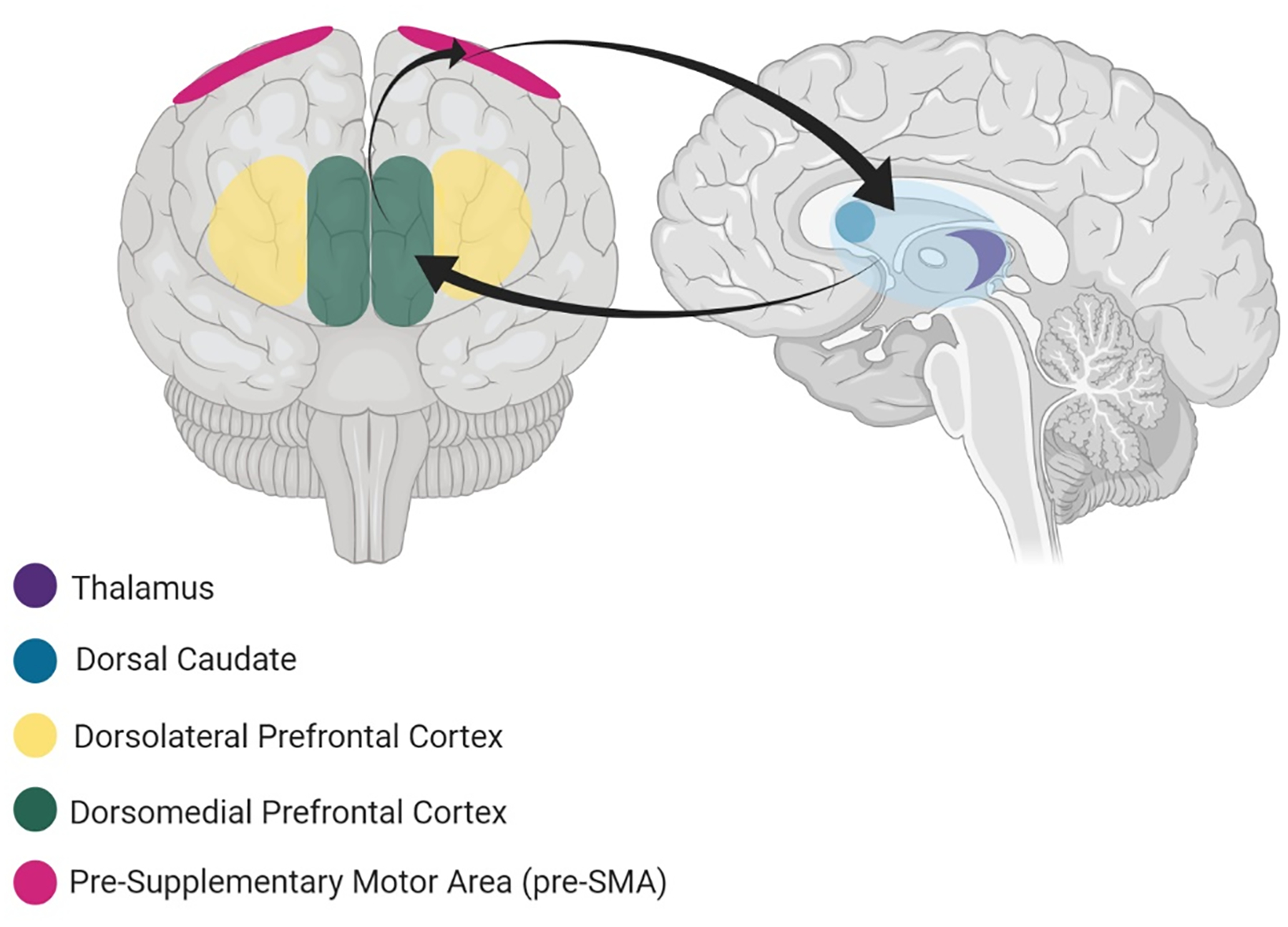 Figure 6.