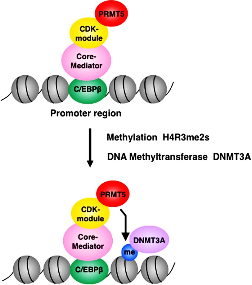 FIGURE 7.