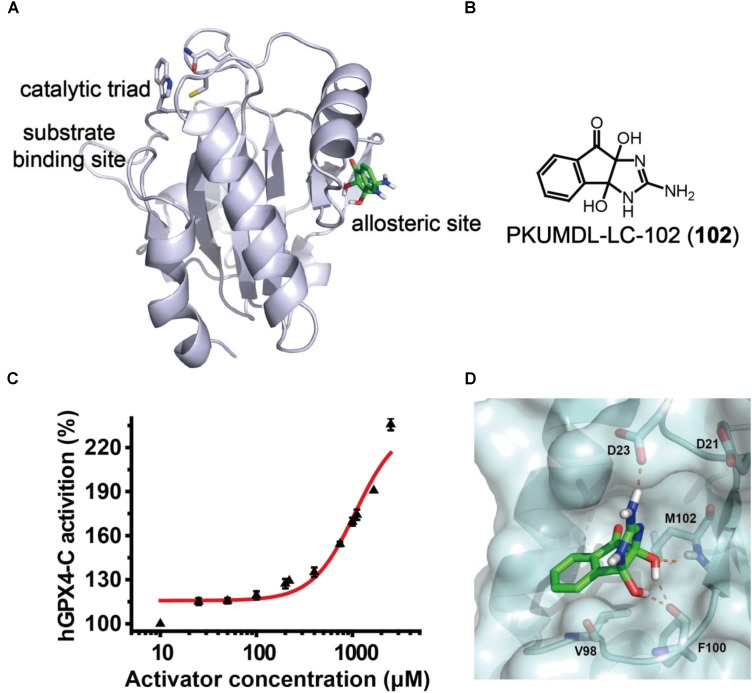 FIGURE 2