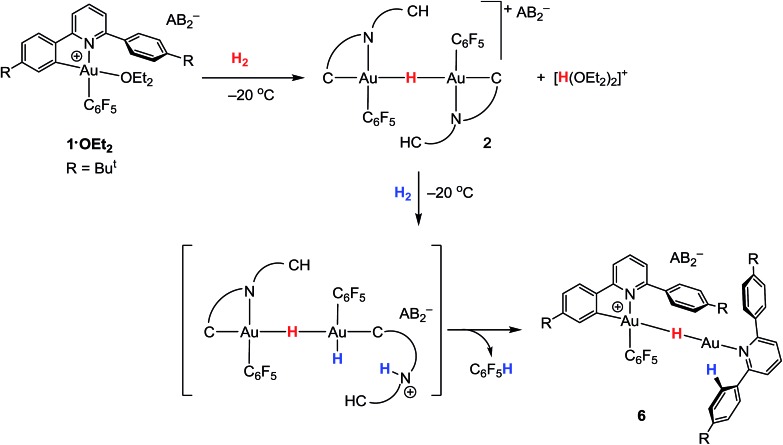 Scheme 2