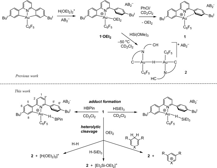 Scheme 1