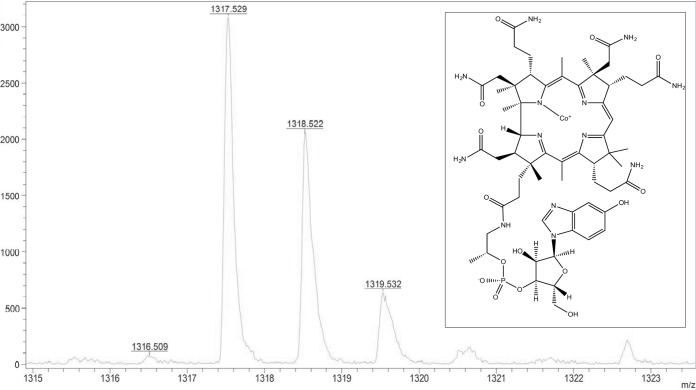 FIG 6