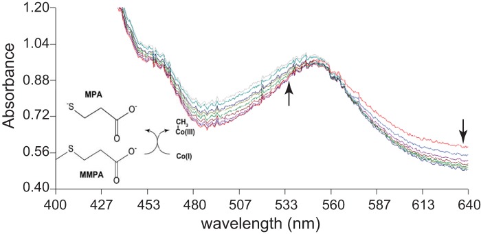 FIG 3