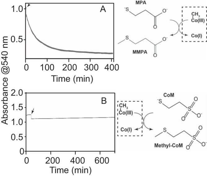 FIG 2