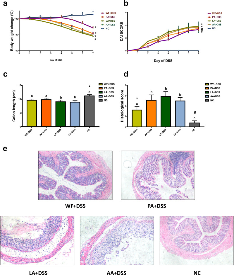 FIG 6