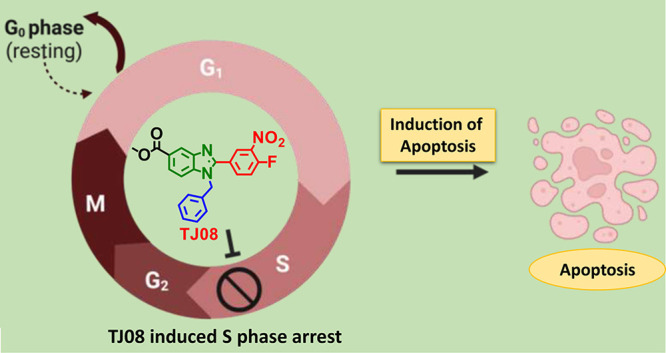 graphic file with name ao2c06057_0015.jpg