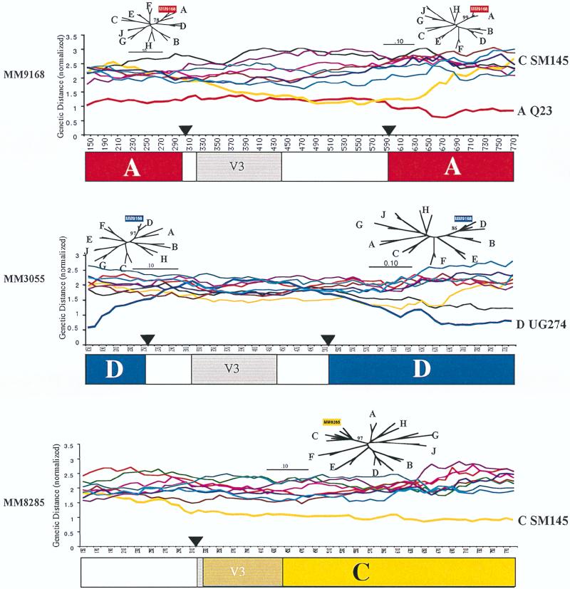 FIG. 4