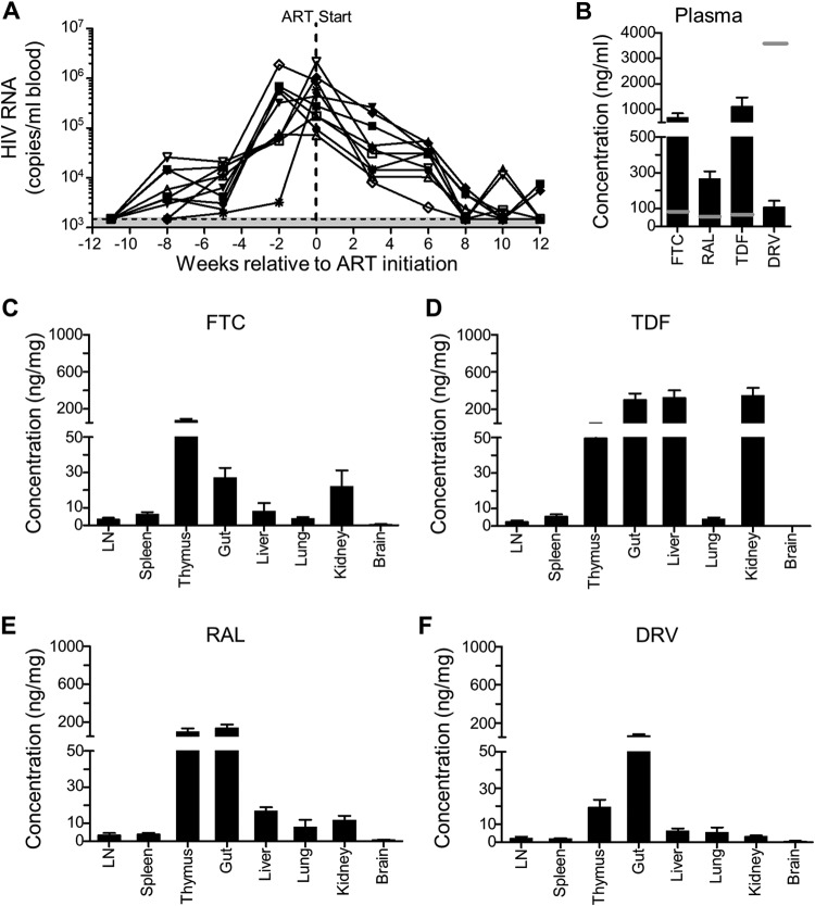 FIG 2