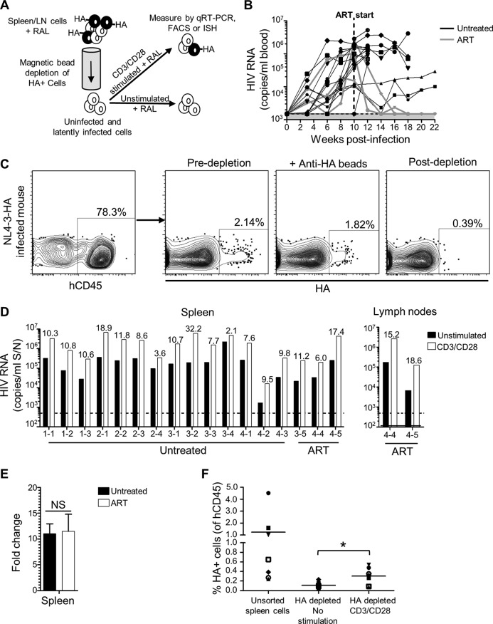 FIG 4