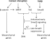 FIGURE 7: