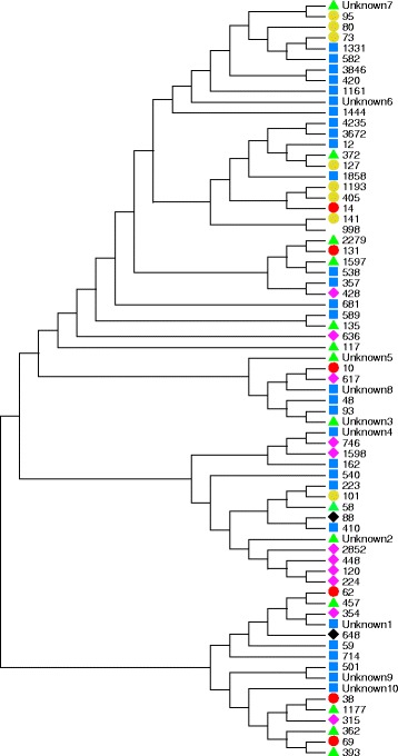 Fig. 2