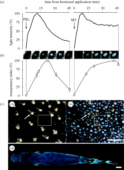 Figure 1.