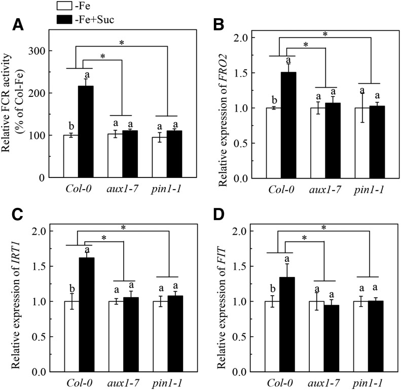 Figure 10.