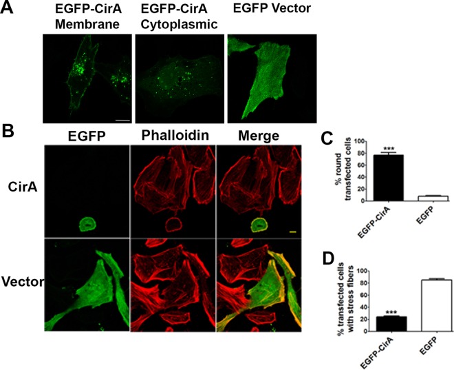 FIG 2