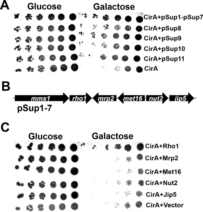 FIG 3