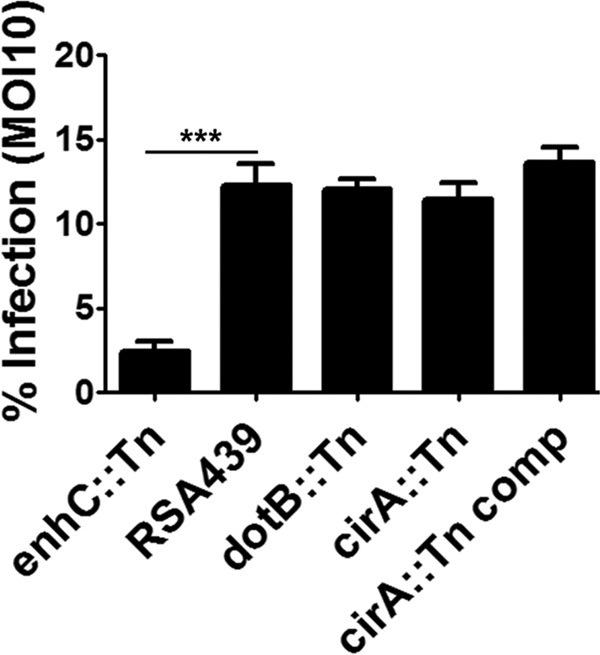 FIG 7