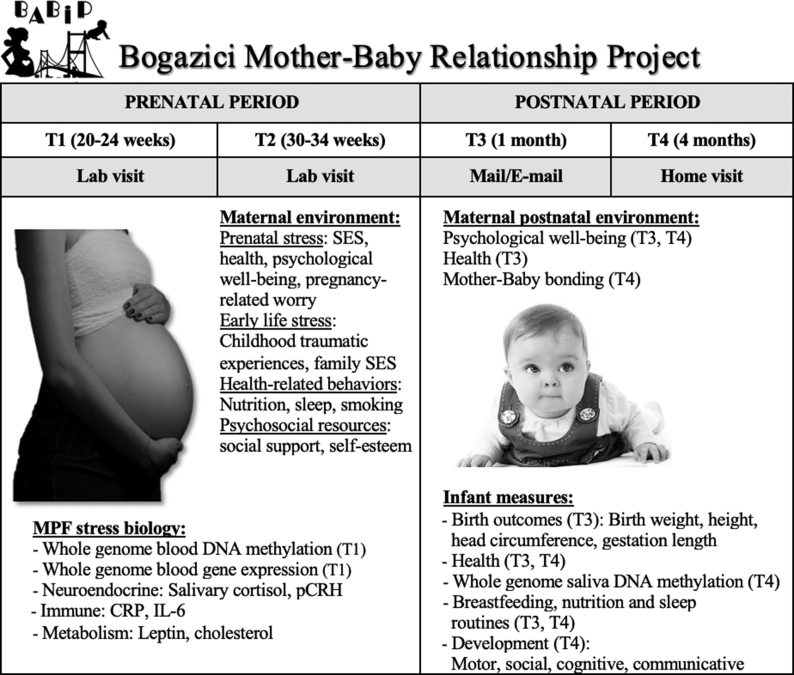 Fig. 1