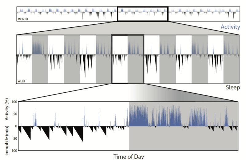 Figure 4. 