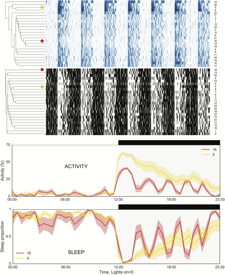 Figure 5. 