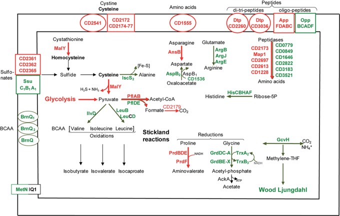 FIGURE 4