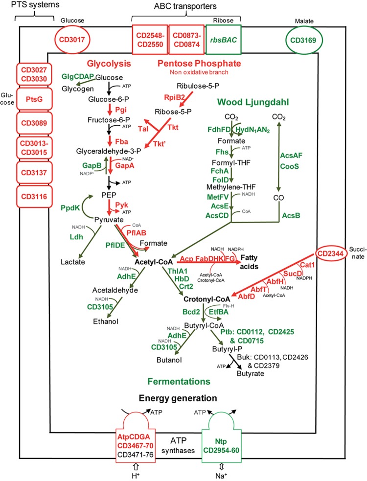 FIGURE 2