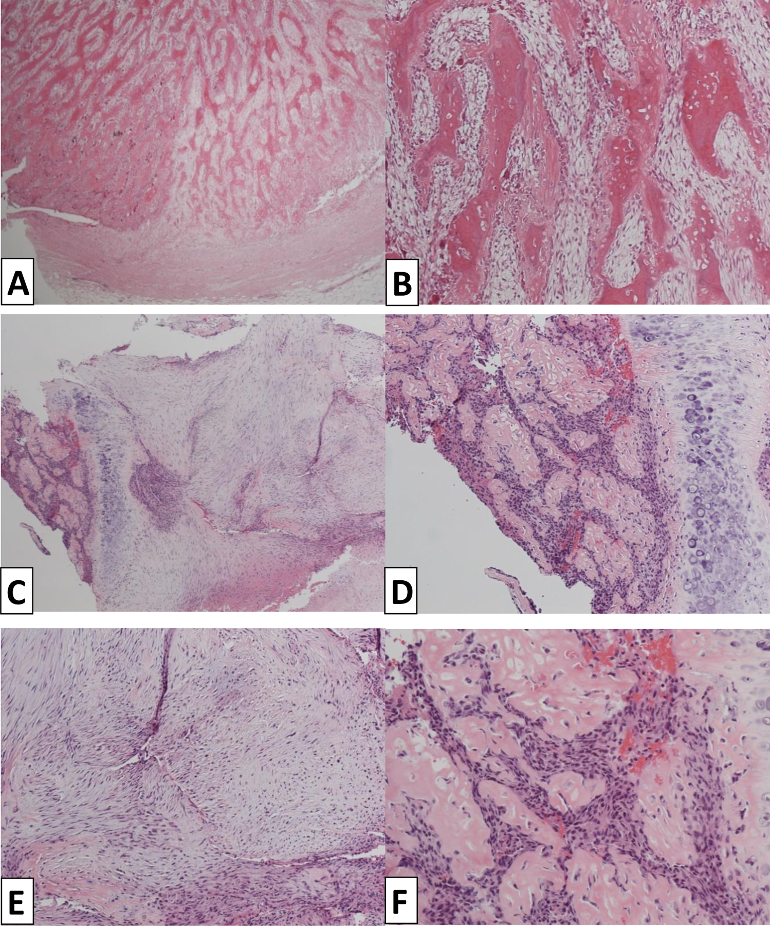 Figure 4: