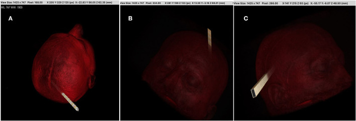 Figure 4