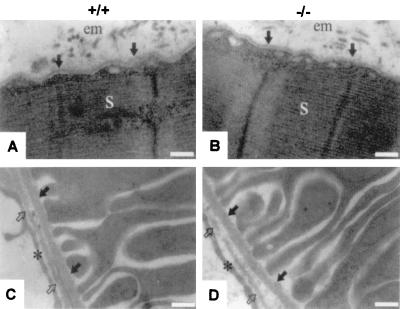 FIG. 8