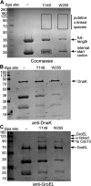 FIGURE 5: