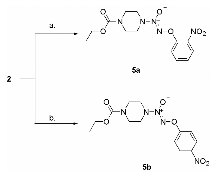 Scheme 4