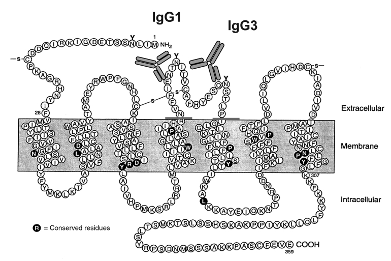 Figure 1)