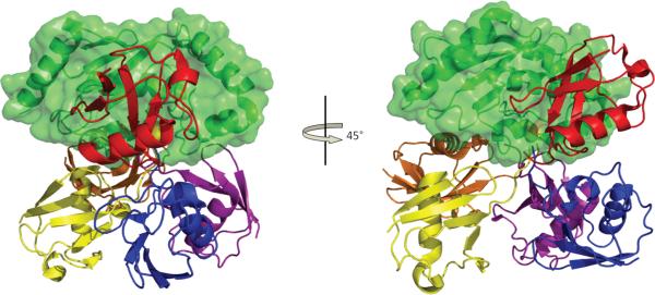 Figure 5