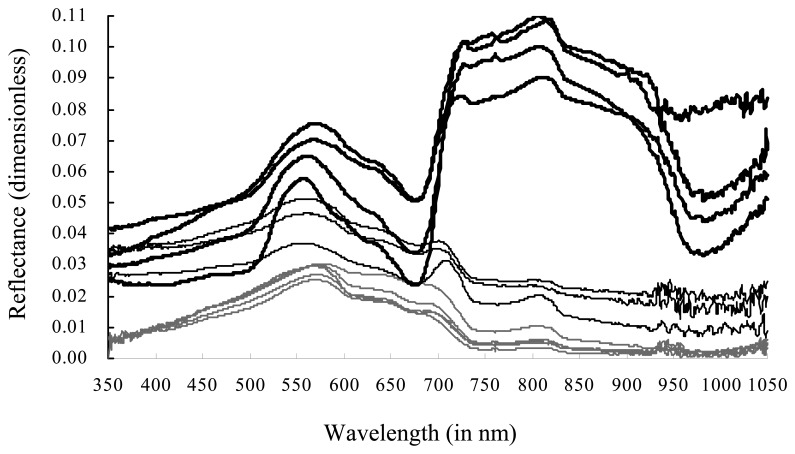 Figure 3.