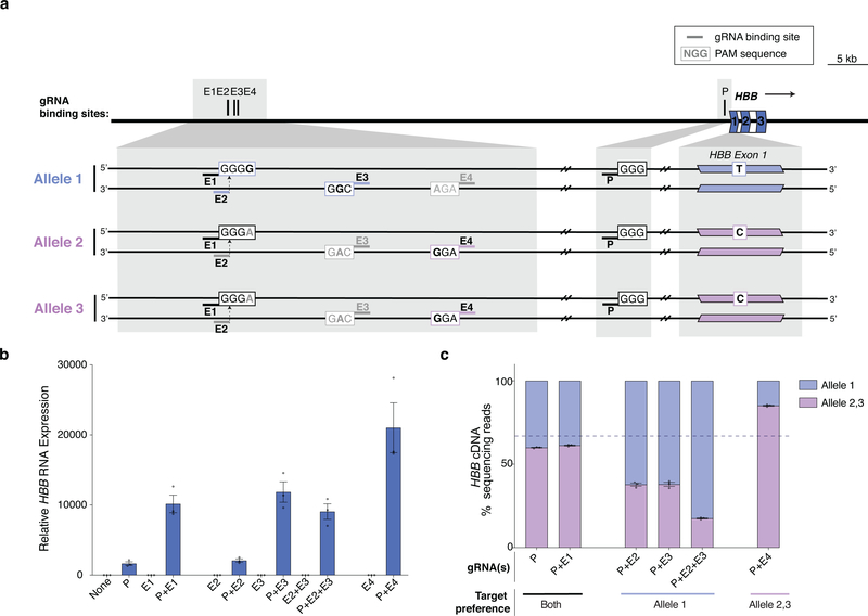 Extended Data Fig. 6