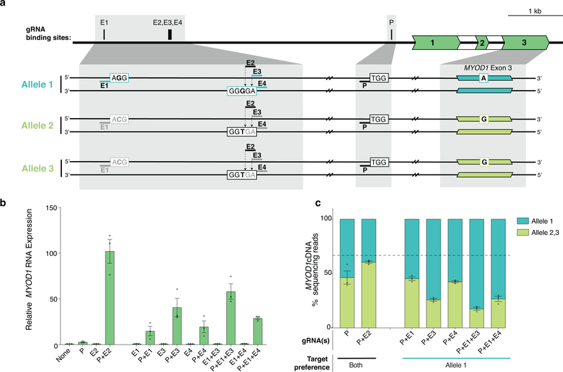 Extended Data Fig. 7