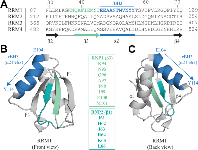 Figure 1