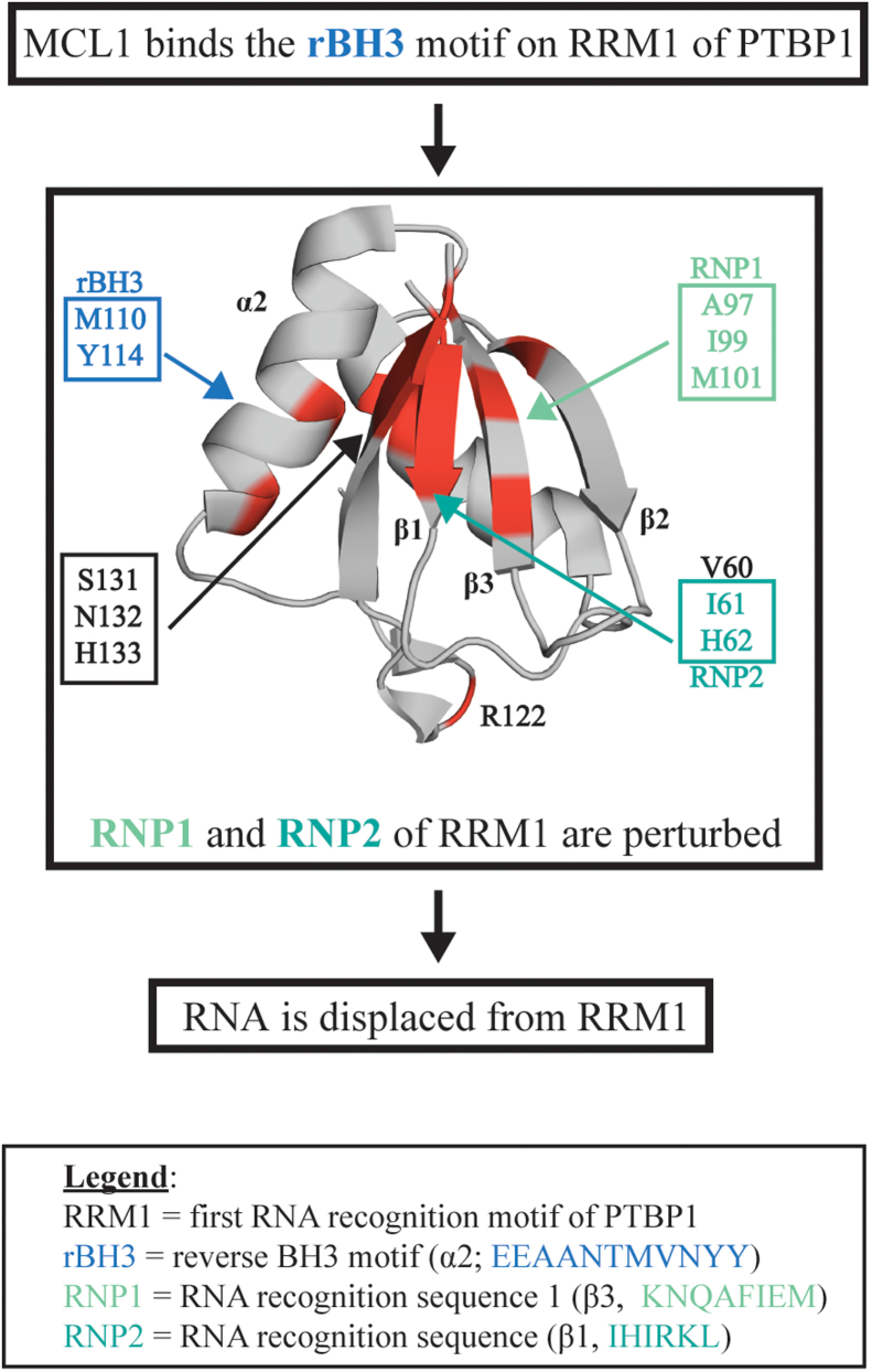 Figure 6