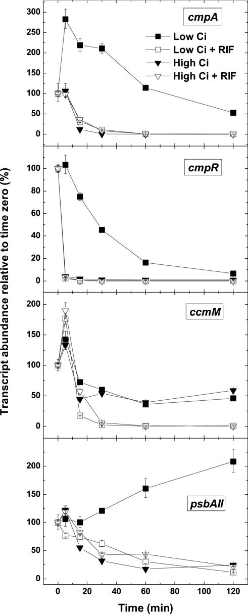 Figure 5.