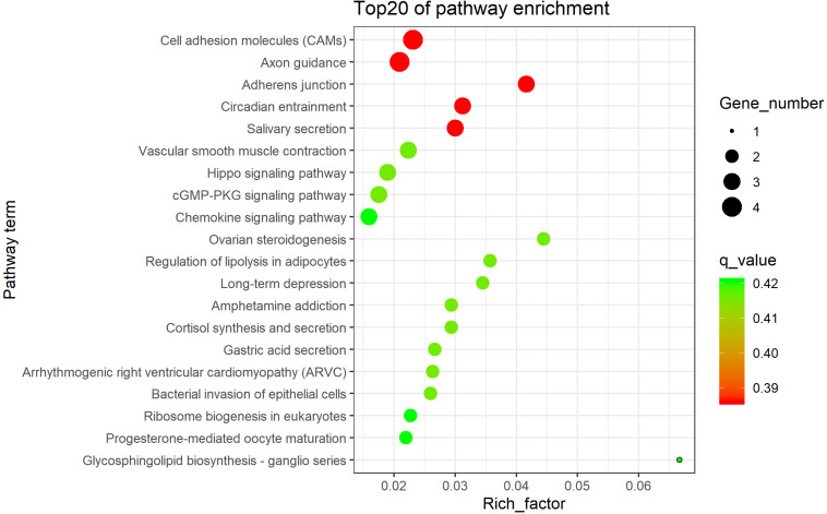 FIGURE 4