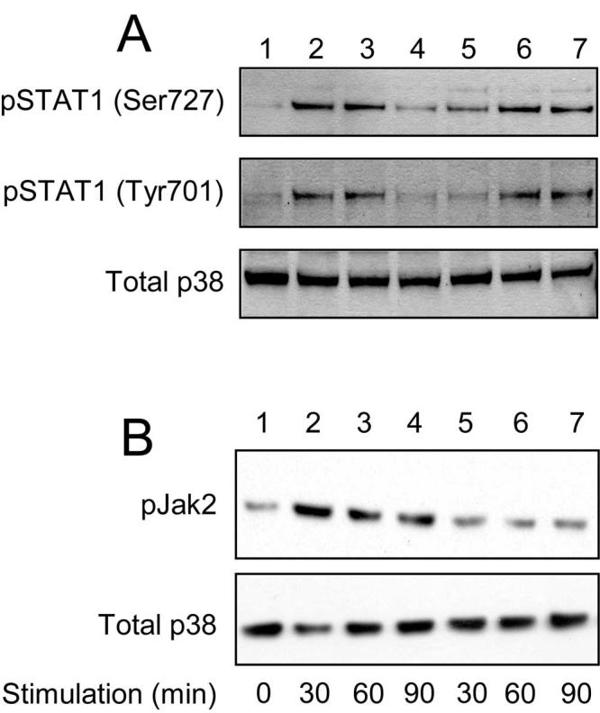 FIGURE 7.