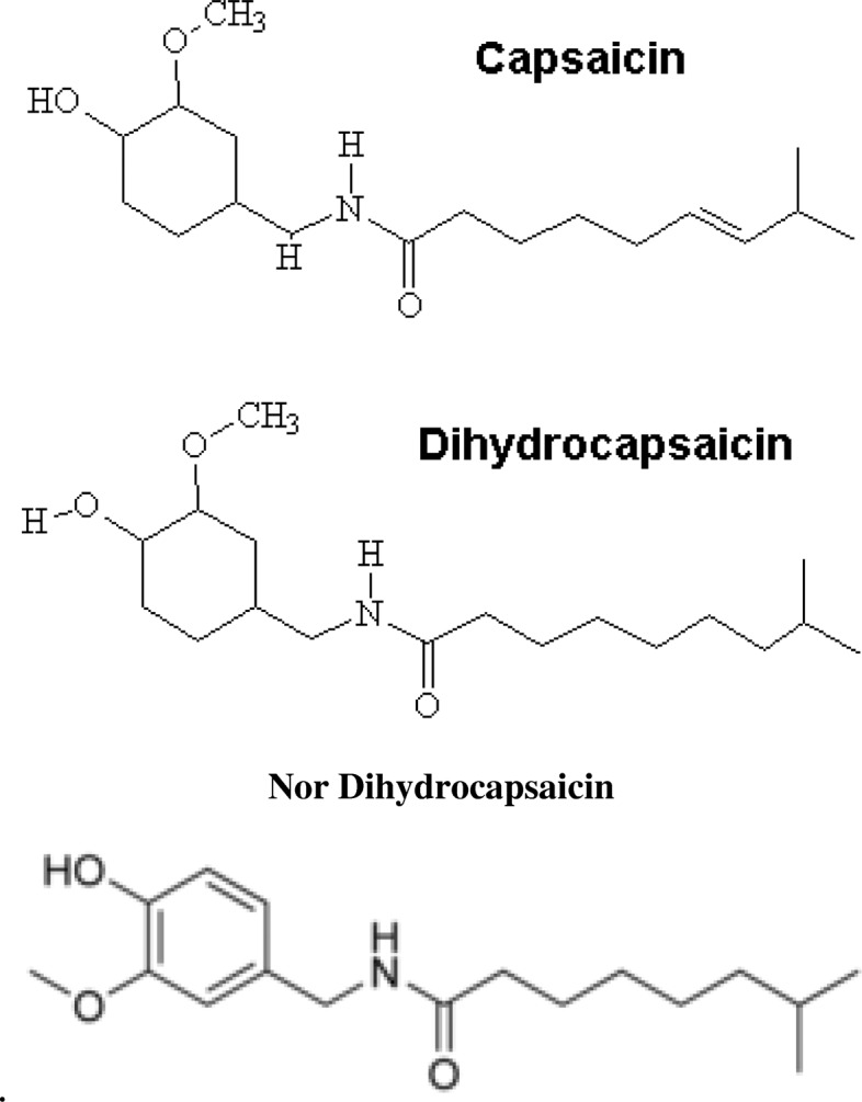 Capsaicinoids supplementation decreases percent body fat and fat mass ...