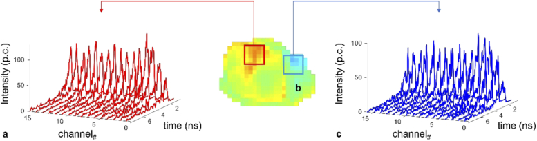 Fig. 12.