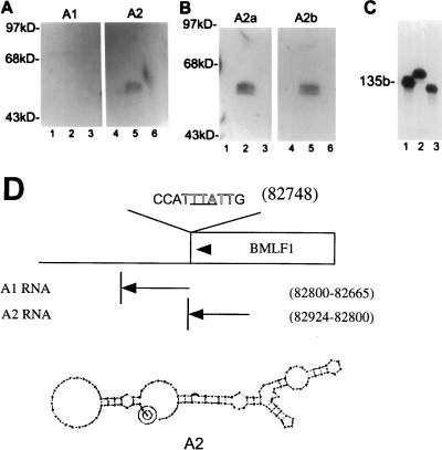 FIG. 6