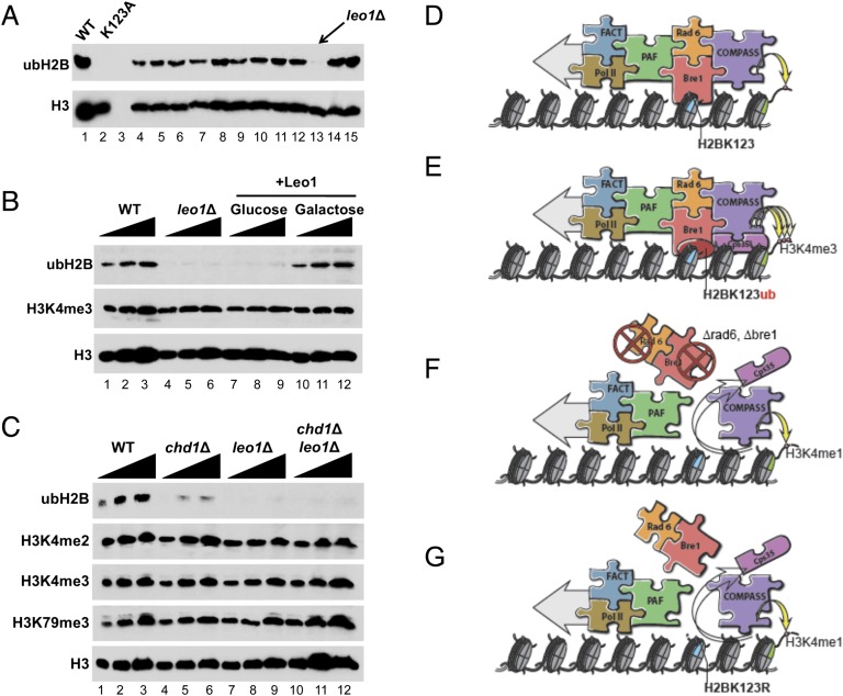 Figure 4.