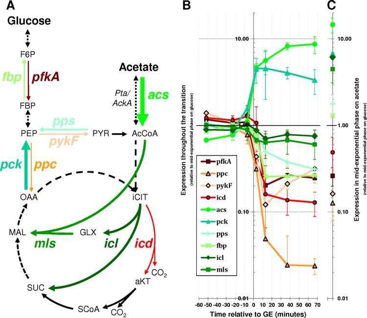 FIG 3