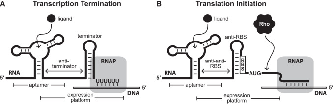 FIGURE 1.