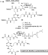 Scheme 11