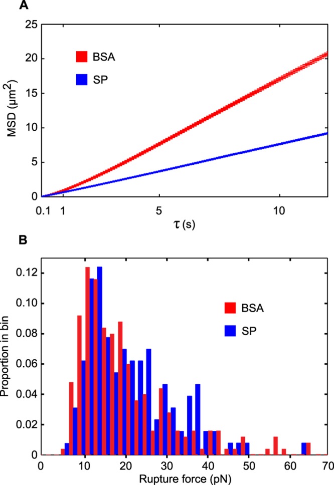 FIG 3 