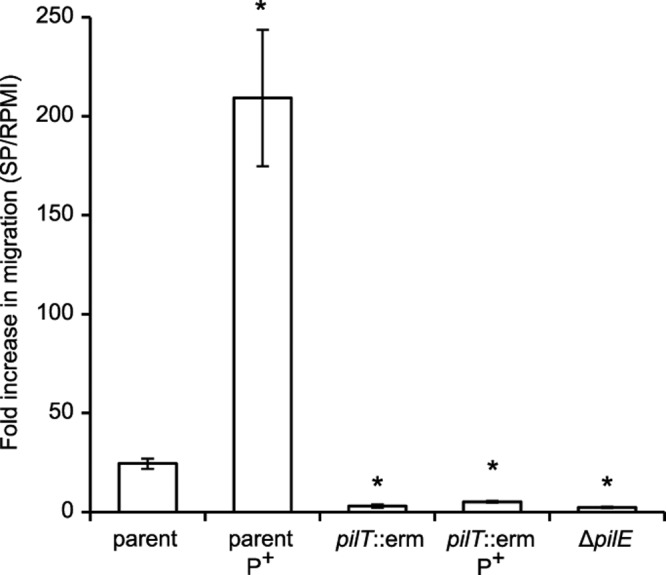 FIG 1 